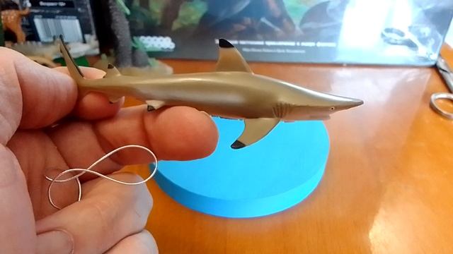 Collecta Blacktip reef shark - Чернопёрая рифовая акула (мальгашская ночная акула) смотреть онлайн