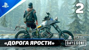 «Дорога Ярости» (100%) Подробное прохождение Days Gone — Часть 2