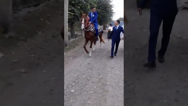 Тахир Жанна Бакыты Болындар Нагыз Казактын Тойы смотреть онлайн