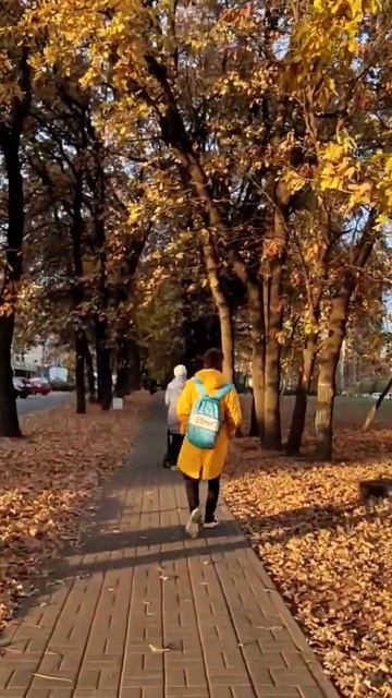 Солнечный город #краснодар #осень2022 #переезднаюг смотреть онлайн