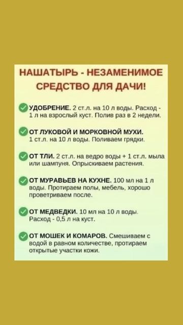 Нашатырь - незаменимое средство для дачи #полезнознать #полезныесоветы #польза смотреть онлайн