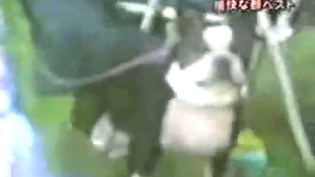 забавная улбка пса япония смотреть онлайн