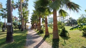 🌴Отель MC Beach Resort 5*🌴 октябрь 2023г.🌴Пляж в отеле🏊🐟🤿#отдыхвтурции