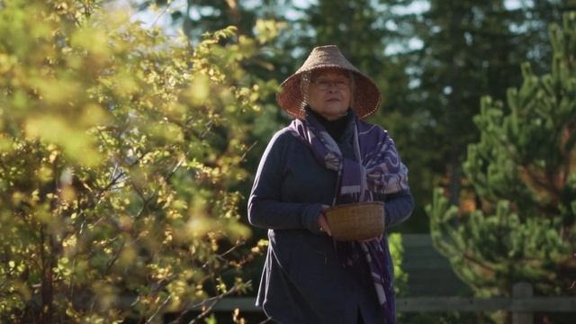 Rose Hip teachings from Elder Barb Whyte смотреть онлайн