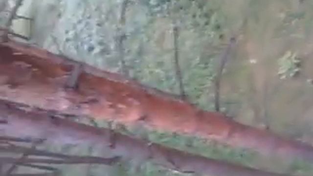 Позитивний лісник! | Стрибки з парашутом | DZ Цунів | free-sky.com.ua смотреть онлайн