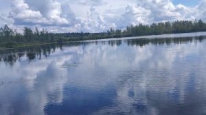 Бездонное озеро. Красивое озеро среди болот в Солнечногорском районе.