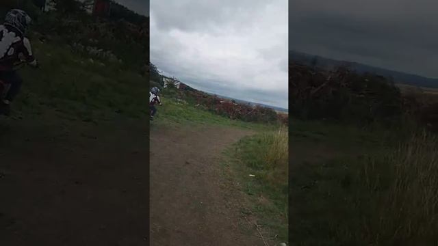 Malaguti 50cc 125 Pitbike Ty80 110 Quad Playtime