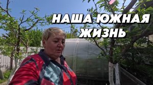 887 Наш южный сад/Жизнь на Кубани/Переехали с Урала на юг