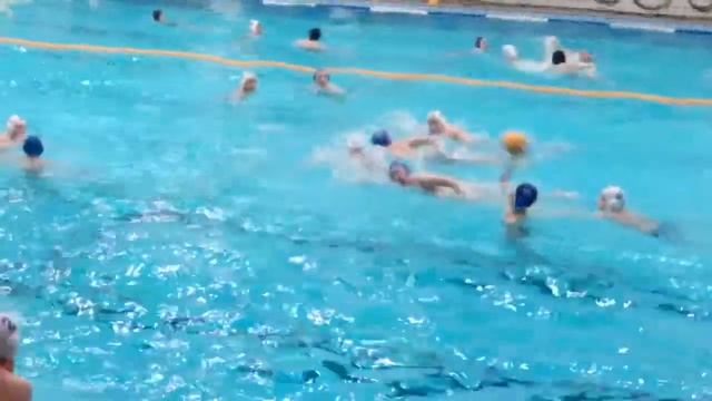 Команда клуба Дельфин vs команда Юность Москвы встреча по водному поло, 2015 смотреть онлайн
