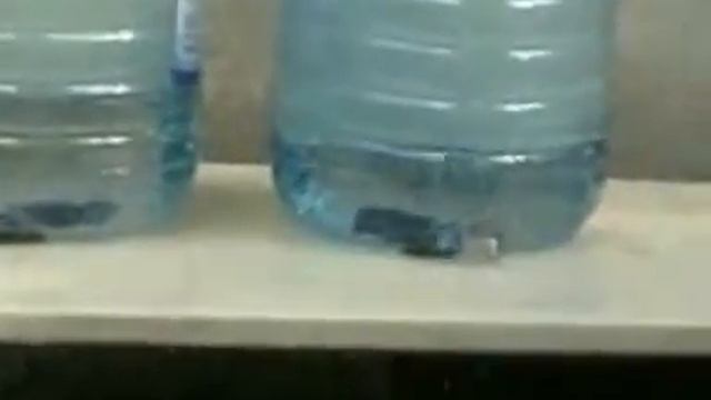 1 сагарета Опыт с бутылками смотреть онлайн