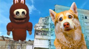 МЕГА ЛАБУБУ ЕХЕ РАЗРУШИЛА НАШ ДОМ и УКРАЛА ЧЕЛОВЕЧИХУ!! Хаски Бублик Говорящая собака Mister Booble