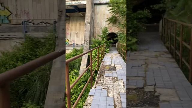 Ставрополия Сочи Мамайка заброшенный санаторий смотреть онлайн