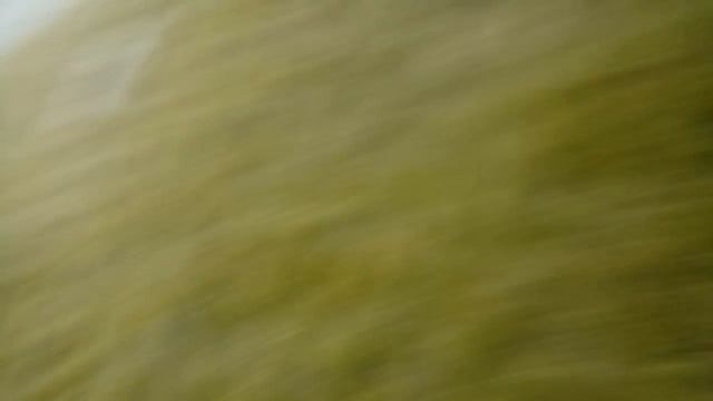 Сомодельная питарда))) смотреть онлайн