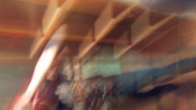 ТрепХата смотреть онлайн