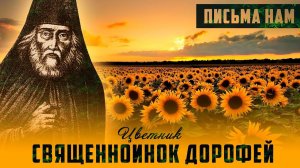 Почему монахи и священники "уже не те" / Омирщение церкви и оскудение веры - священноинок Дорофей
