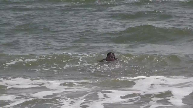 УРЗУФ-2016: Поездка в Бабахтараму 30.05.2016 г. ч.7 смотреть онлайн