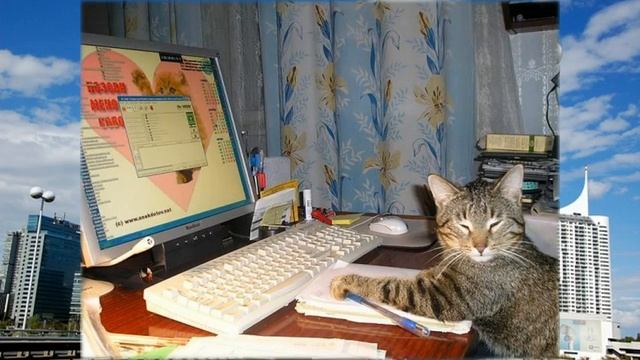 как быстро создать бизнес смотреть онлайн