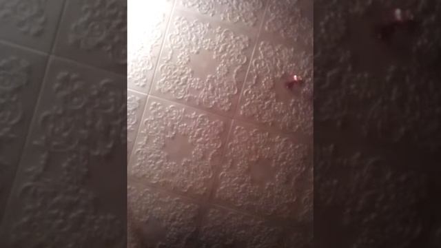 Праткнуть. Ногу смотреть онлайн