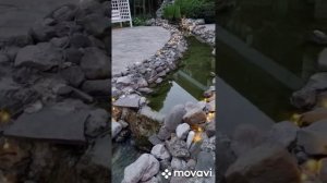 Алушта.Санаторий Демерджи 2ч