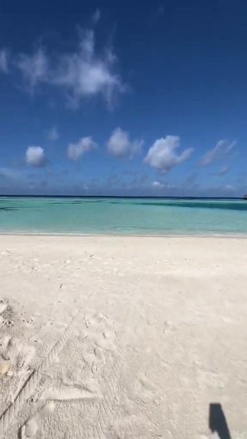 Мальдивы #шортсвидео #шортс #финансоваясвобода #financialfreedom #beach #shorts #Maldives смотреть онлайн