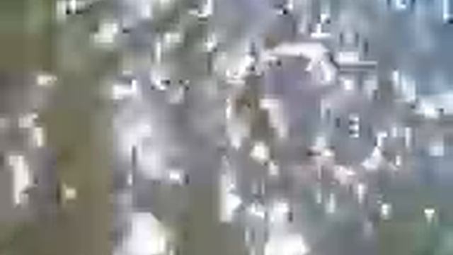ягдтерьер Гадя ныряет в реку за апортом смотреть онлайн