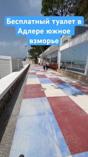 БЕСПЛАТНЫЙ ТУАЛЕТ В СОЧИ / ЮЖНОЕ ВЗМОРЬЕ #shorts
