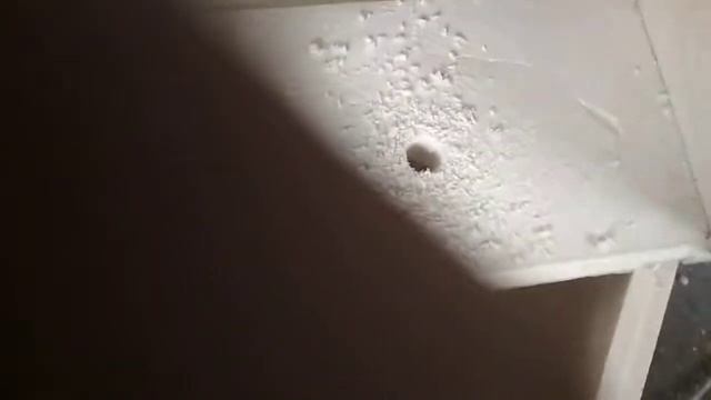 пенополиуретановый улей Био Рай смотреть онлайн
