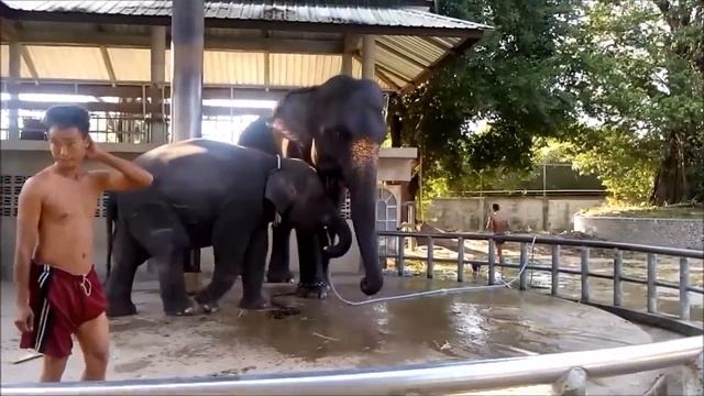 Тайланд 2016 смотреть онлайн