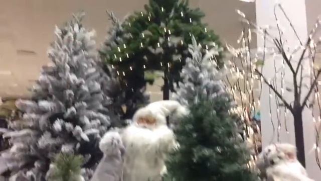 Vlog: покупка одежды, поход по магазинам, готовлю смотреть онлайн