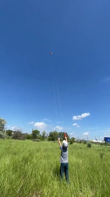 Воздушный змей мальчик 5 лет смотреть онлайн