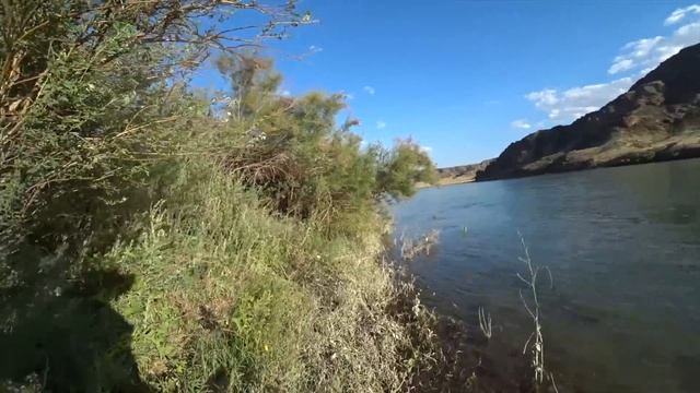 ОТКРЫТИЕ СЕЗОНА РЫБАЛКИ НА РЕКЕ ИЛИ ИЮНЬ 2024 смотреть онлайн