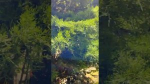 Анапа 24 мая . Санаторий Надежда .