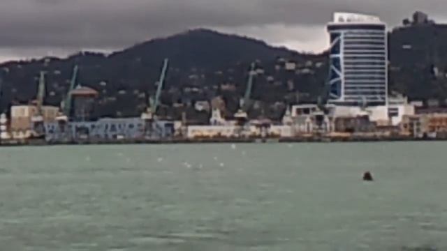 27 марта 2016 г.(6) смотреть онлайн