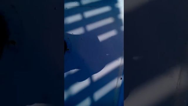 Я на корабле в Египте! смотреть онлайн