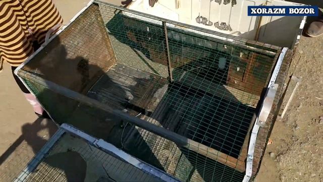 Айнан Сиз Учун керак бу́лиши мумкин. Богот Дехкон бозори 2021-Йил 31-Март смотреть онлайн