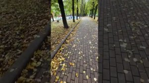 Сквер Девичьего поля в Москве