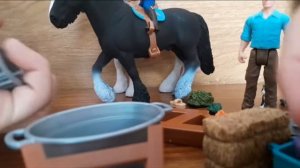 распаковка набора от schleich/ распаковка подарка на день рождения