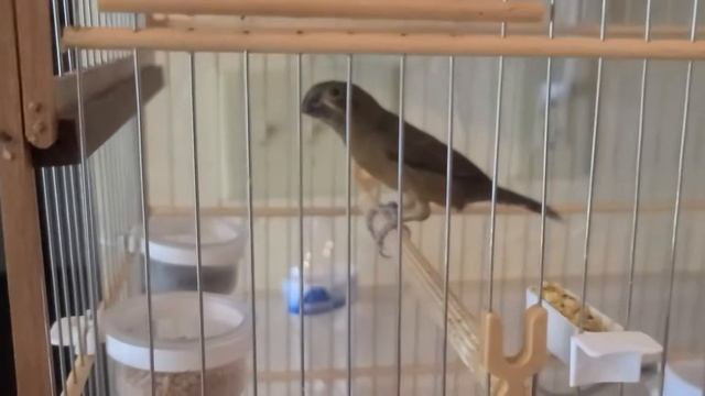 BeyonC смотреть онлайн