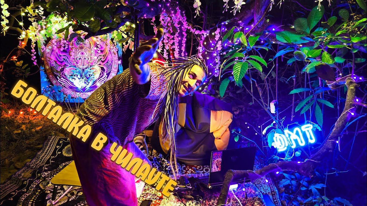 Поболтаем? Стрим из джунглей ГОА