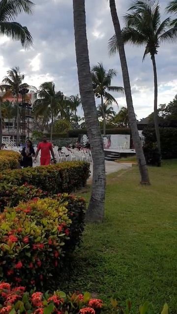 BARCELO SOLYMAR#обзор#атлантическийокеан#Куба#Варадеро#психологЛюдмилаМайковская#большоеалоэ# смотреть онлайн