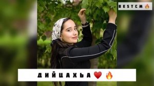 Раяна Асланбекова Дийцахьа NEW😻🔥❤