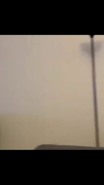 Котики (14) смотреть онлайн