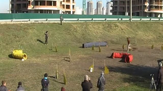 Аджилити Kasta26 10 2014 07 смотреть онлайн