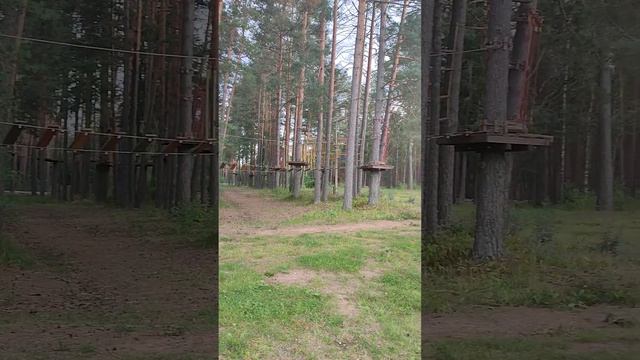 Веселая прогулка, Логойский санаторий! смотреть онлайн