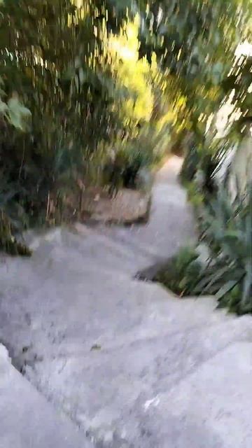 ПРИЕХАЛИ #поездка #поезд #наморе #море смотреть онлайн