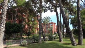 Кошки-верхолазы, сосны, турецкая ночь!!!! Отель THE NORM ORIENTAL 5 (ex.ASTERIA KEMER RESORT)