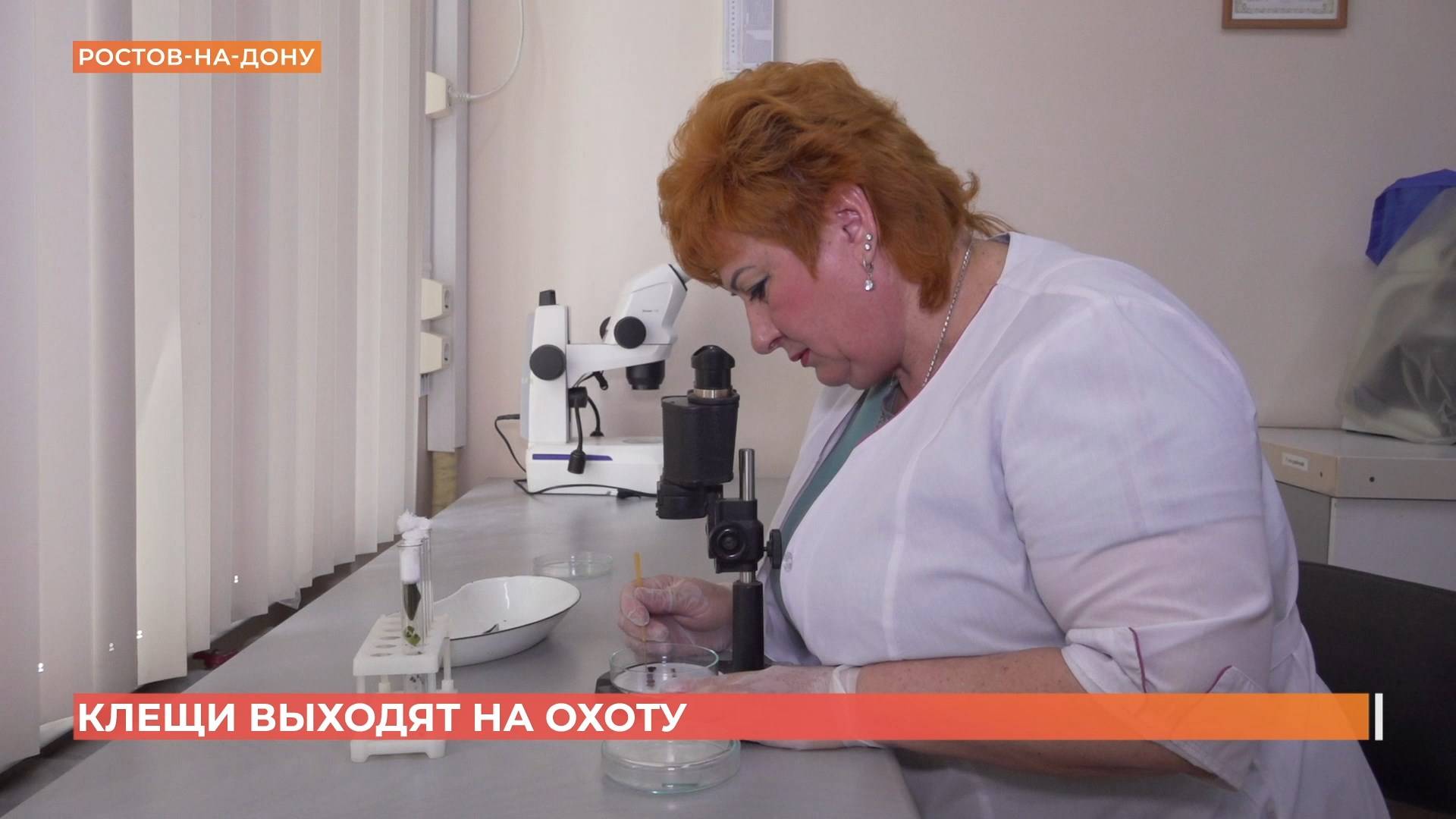 Клещи выходят на охоту: как уберечься от укусов смотреть онлайн