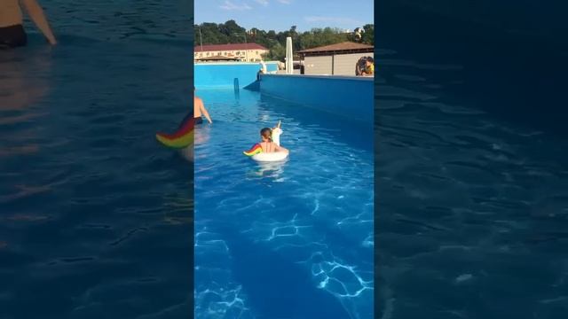 Тигри в Лермонтово смотреть онлайн