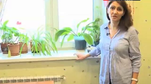 Вокруг строительства эстакады в Реутове разгорелся скандал смотреть онлайн