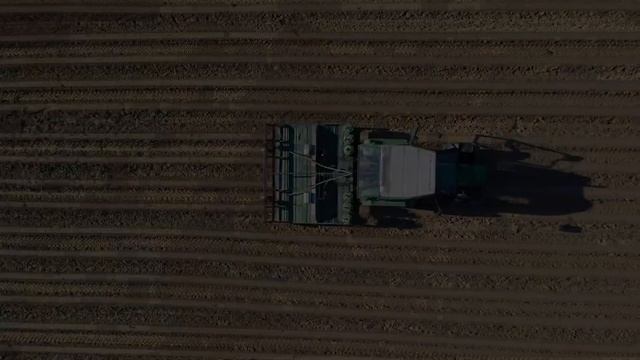 "Як звучить весна" (8 весняних звуків) Гра "Відгадай звук" смотреть онлайн